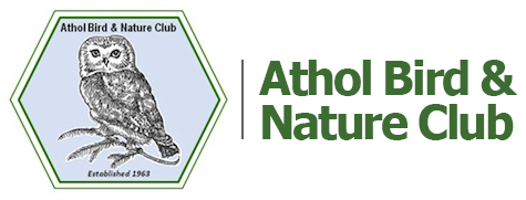 Athol Bird & Nature Club