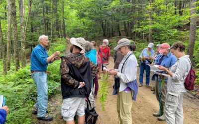 Guided Fern Walk Trip Report