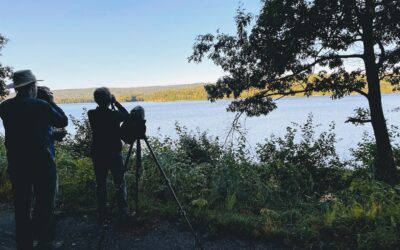 Quabbin Gate 35 – ABNC Trip with Brookline Bird Club