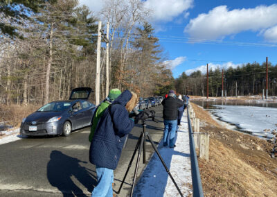 image of a group of birders with spotting scopes and binoculars, standing on the edge of a road, looking at waterfowl on a partly frozen Turners Falls power canal on the right.