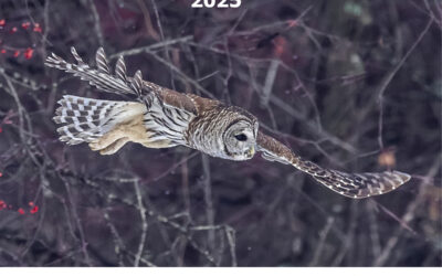 Call for Photos for the 2026 Calendar