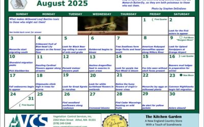 ABNC Calendar Revision