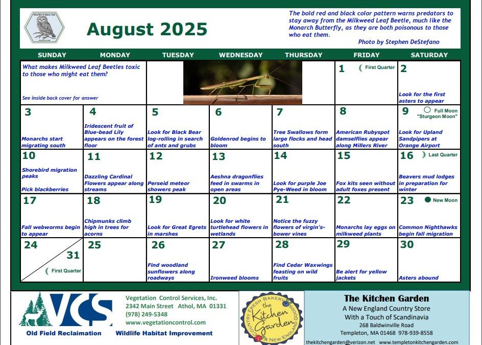 ABNC Calendar Revision