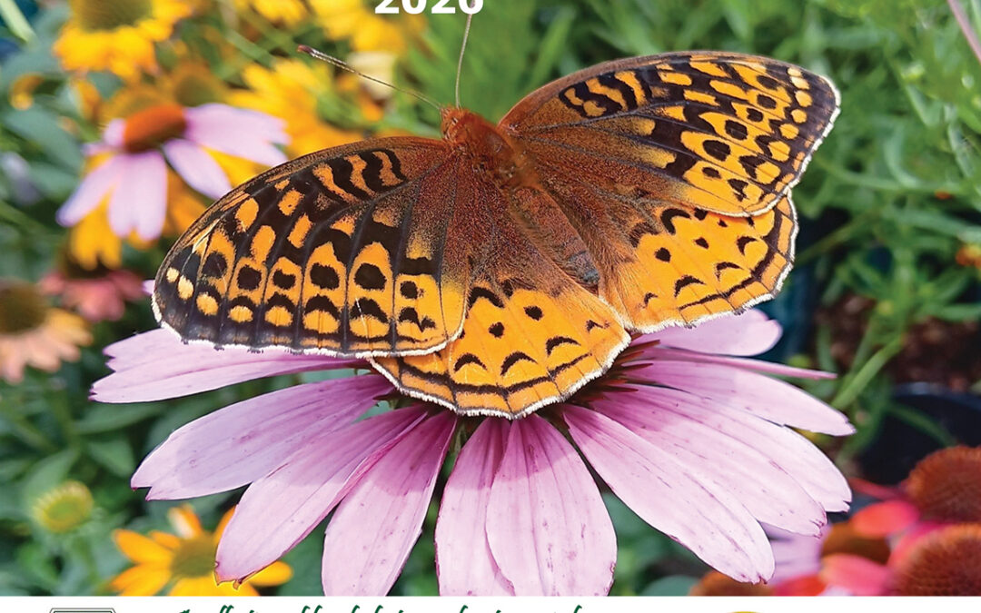 Submit Photos for the 2027 Calendar!