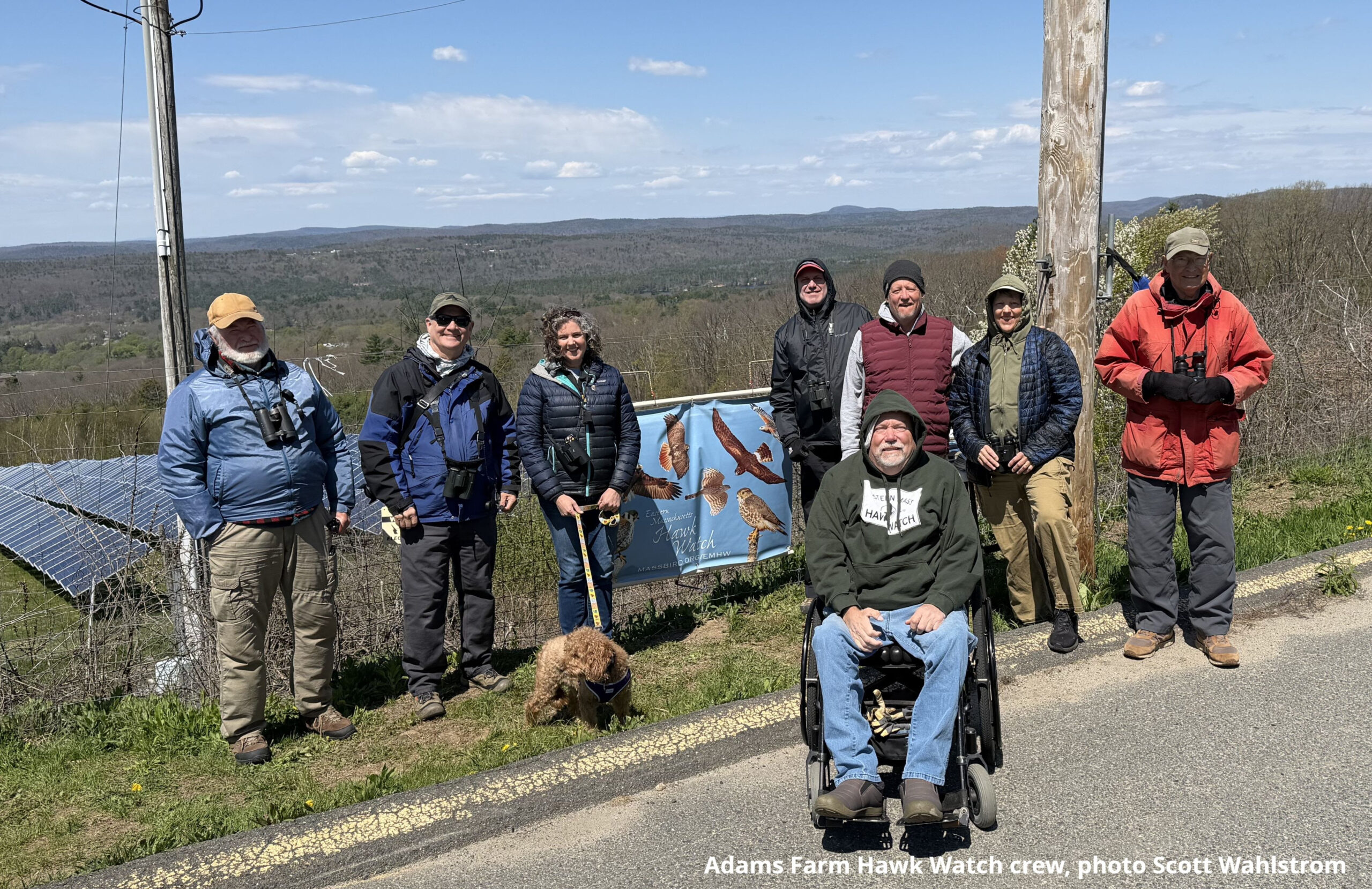 Athol Hawk Watch – Spring 2026 Season